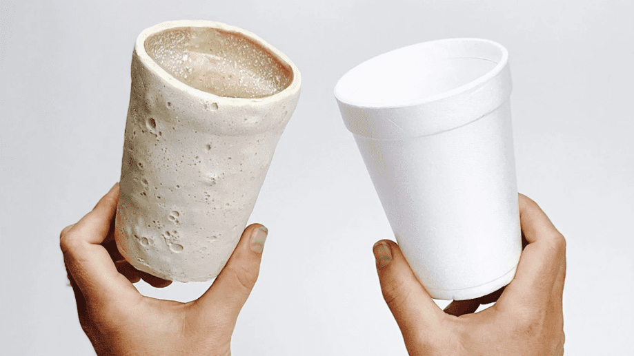 Chitofoam Emerges As A Next-Gen Sustainable Styrofoam